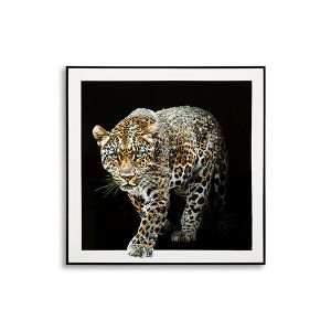 Pilt Jaguar 82x82 cm