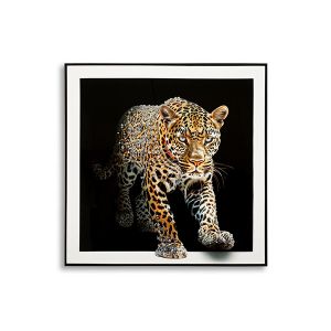 Pilt Jaguar 82x82 cm